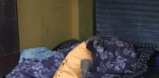 #ANTOFAGASTA Antofagastina le regala capas a los perros abandonados de la ciudad