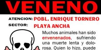 #VALPARAISO Presentarán querella por caso de los perros envenenados en Valparaíso