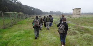 #VALPARAISO Buscan controlar plaga de zarzamoras en Santuario Las Petras de Quintero