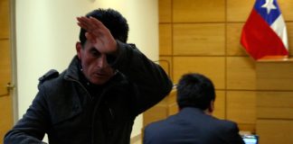 #VALPARAISO Sujeto que atacó a un perro en Villa Alemana deberá pagar multa a beneficio de agrupación animalista