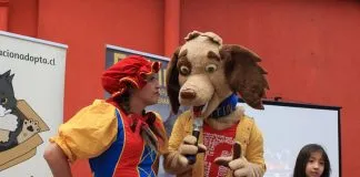 #SANTIAGO Incentivando la tenencia responsable se hizo presente el Perrito Chipitin en «Gatos para todos»
