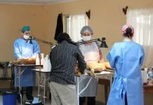 Colmevet acusa desinformación por parte del SERNAC, luego de encuesta a clínicas veterinarias que detectó diferencias en los costos de atención