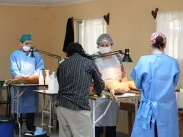 Colmevet acusa desinformación por parte del SERNAC, luego de encuesta a clínicas veterinarias que detectó diferencias en los costos de atención