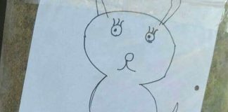 #ARGENTINA La tierna forma de dos niños de buscar a su perro al no contar con alguna foto del animal