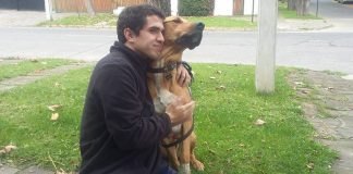 #ELECCIONES Los sueños y proyectos pro animal de Iván Videla, candidato a concejal por Puente Alto