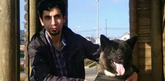 #LOSLAGOS Destacado animalista de Puerto Montt muere al ser atropellado cuando regresaba a casa