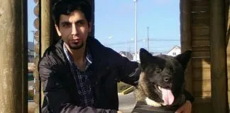 #LOSLAGOS Destacado animalista de Puerto Montt muere al ser atropellado cuando regresaba a casa