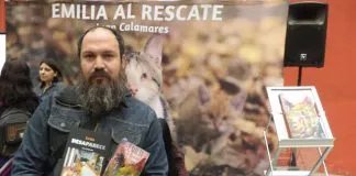#SANTIAGO: Te invitamos a conocer la aventura literaria de Emilia, una gatita no vidente de Fundación Adopta