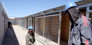 #ANTOFAGASTA 90% de avance tiene ampliación del canil municipal en Calama