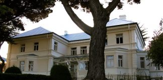 #MAGALLANES Corte revoca pena en libertad de joven condenado por maltrato animal