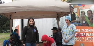 #BIOBIO Esterilizarán de manera gratuita a 2.500 animales en Talcahuano