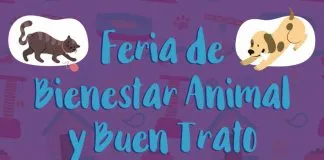 #SANTIAGO Harán primera feria del bienestar y buen trato animal este sábado en Providencia