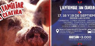 #VALPARAISO ¿Quieres vivir unas Fiestas Patrias distintas?, ¡súmate a la Fonda Familiar del Santuario Clafira¡