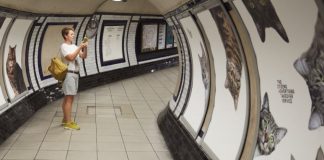 #GRANBRETAÑA Sustituyen la publicidad del metro de Londres por fotografías de gatitos huérfanos que necesitan un hogar