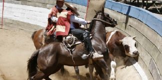 #VALPARAISO Diputado Vlado Mirosevic expresa su rechazo al rodeo en sesión de la Cámara Baja