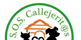 #SANTIAGO Agrupación pro animal de San Bernardo se hará presente en encuentro de comercio justo