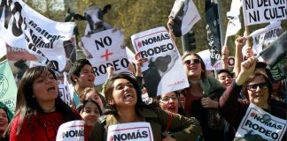 #SANTIAGO Alrededor de 10000 personas dijeron no al rodeo en una nueva marcha nacional