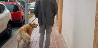 #ESPAÑA Colegio de Abogados de Córdoba crea grupo de trabajo centrado en la defensa animal