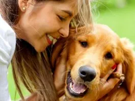 #SALUD ¿Cómo poner en práctica los 5 dominios de bienestar animal con nuestros compañeros peludos?