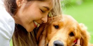 #TENDENCIAS ¿Qué hacer si se me pierde mi animal durante las Fiestas de Año Nuevo?