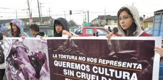#LOSLAGOS Activistas pro animal protestan contra el rodeo durante celebraciones dieciocheras en Osorno