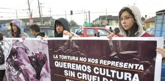 #LOSLAGOS Activistas pro animal protestan contra el rodeo durante celebraciones dieciocheras en Osorno
