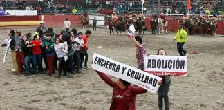 #MIRADANACIONAL Ministerio del Deporte afirma que no reconoce al rodeo como una Federación Deportiva Nacional