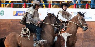 #PUNTOLEGAL Corte de Apelaciones de Santiago rechazó recurso contra el rodeo