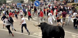 #ESPAÑA Piden información sobre como murió el Toro de la Peña y dónde está