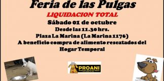 #SANTIAGO Harán feria de las pulgas a beneficio de Proani San Miguel este sábado