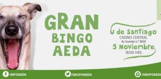 #SANTIAGO Realizarán bingo pro animal en beneficio del grupo animalista AEDA