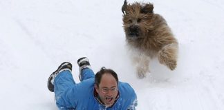 #ESTADOSUNIDOS Nueva York permitirá enterrar a las mascotas con sus dueños