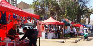 #ANTOFAGASTA Con masiva asistencia de antofagastinos se efectúo la ‘Feria Solidaria por los Animales’