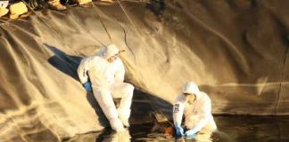 #ARICA Adulto mayor muere tras intentar rescatar a su perro