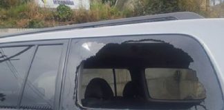 #VALPARAISO Veterinario sanantonino acusa que su vehículo fue atacado luego de denunciar envenenamientos en la ciudad