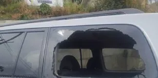 #VALPARAISO Veterinario sanantonino acusa que su vehículo fue atacado luego de denunciar envenenamientos en la ciudad