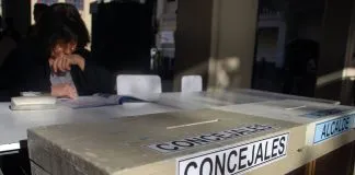 #ELECCIONES Las propuestas en pro de los animales de los candidatos a Elecciones Municipales