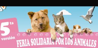 #ANTOFAGASTA Harán una nueva versión de la Feria por los Animales este sábado en la capital regional