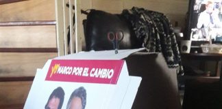 #ELECCIONES Candidato a concejal por Puente Alto convierte palomas en casas para perritos