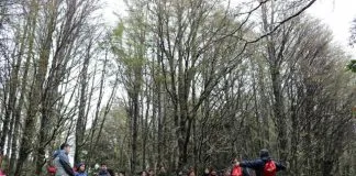 #MAGALLANES Con una caminata por la Reserva Nacional Magallanes se celebró el Día del Medio Ambiente