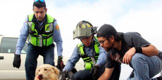 #SANTIAGO Harán curso de primeros auxilios de perros y gatos a beneficio de la Fundación Rescate Canino