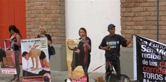 #COLOMBIA Con “Abrazatón” en La Macarena animalistas pidieron proteger animales