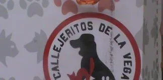 #SANTIAGO: Callejeritos de la vega participó con Taller de Tenencia Responsable en Festival 100 en 1 día