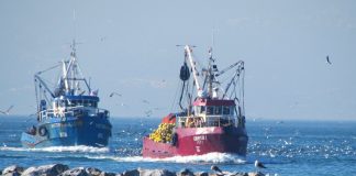 #BIOBIO Pescadores artesanales interponen recurso de protección en contra de la medida de una vuelta diaria