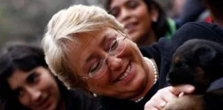#OPINION Críticas a la implementación del Plan Nacional de Esterilización y el llamado a una ley ahora