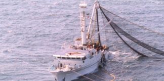 #MIRADANACIONAL Proponen ampliar prohibición del arrastre en las regiones de O’Higgins y del Maule