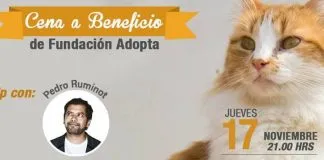 #SANTIAGO Harán cena y stand up comedy en beneficio de la Fundación Adopta