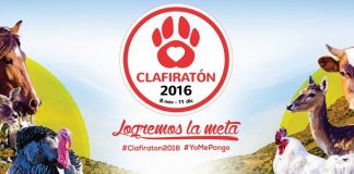 #VALPARAISO Invitan a colaborar a la Clafiratón, la iniciativa que busca recaudar fondos a favor del Santuario Clafira