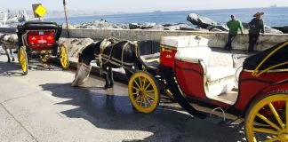#VALPARAISO Los coches victoria de Viña del Mar están viviendo sus últimas semanas