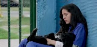 #COLOMBIA Colegio en Bogotá abre hogar de paso para perros y gatos callejeros